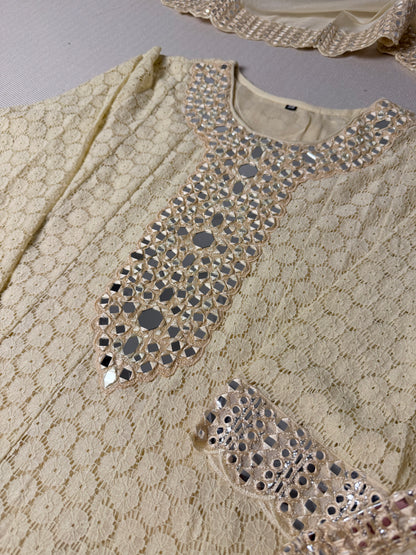 Misha Heavy mirror work Anarkali